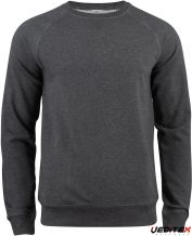 Gris anthracite
