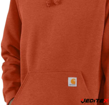 Sweat à capuche avec logo CARHARTT sur manche