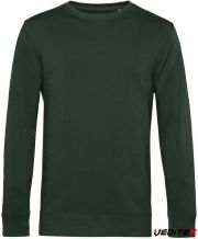 Vert bouteille