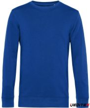 Bleu royal