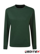 Sweat shirt molletonné femme  280 g/m2   "220.52"