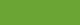 Vert cactus