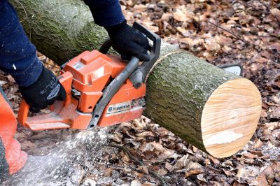 Normes pour utilisateurs des scies à chaines tenues à la main